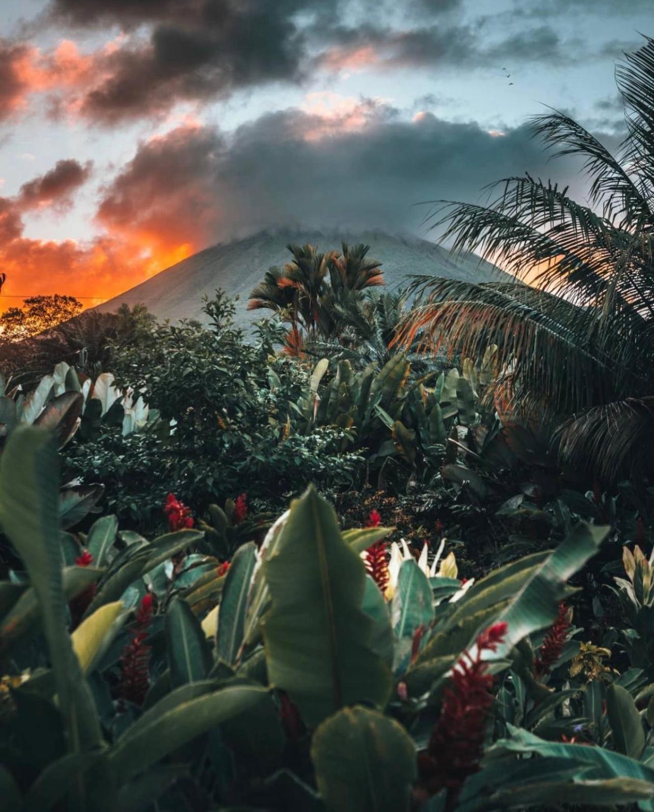 Villa Tucan La Fortuna Buitenkant foto